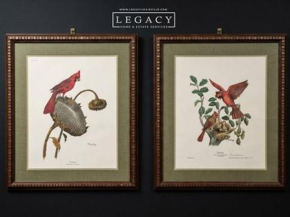 Go Cards Pair Ray Harm And E.D. Williams Cardinal Framed Prints