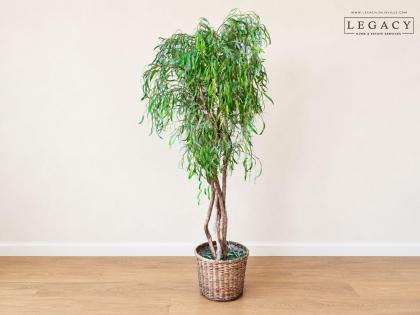 Artificial Tree in Woven Basket