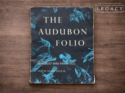 The Audubon Folio 30 Great Bird Paintings by George Dock Jr