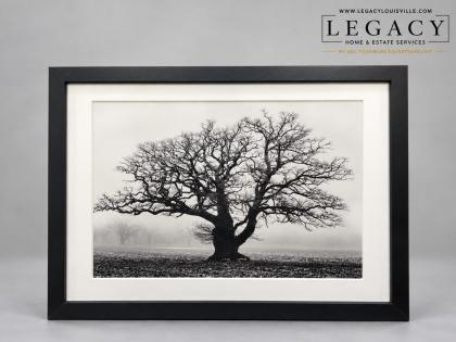 Framed B&W Fine Art Photo Ancient Winter Oak Tree in Fog